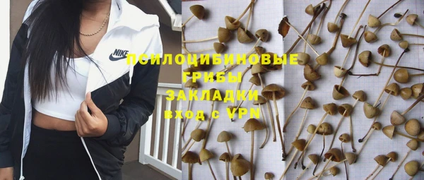 мяу мяу мука Балабаново