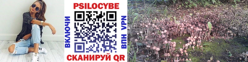 Галлюциногенные грибы Magic Shrooms Черняховск