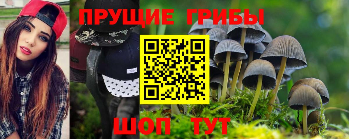 Галлюциногенные грибы мицелий  Вход с VPN  Черняховск  Псилоцибиновые грибы Psilocybine cubensis 