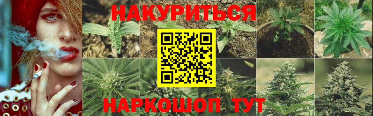 Каннабис White Widow  Бошки Шишки тримм  Каннабис ГИДРОПОН  Черняховск  Вход с VPN 