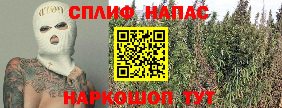 Каннабис гибрид Черняховск